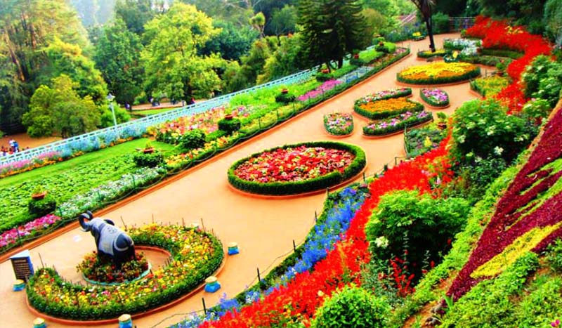 ooty tour packages from coimbatore