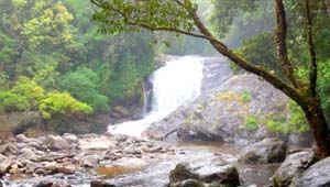 Lakkom Waterfalls - tourist places in Kodaikanal to munnar