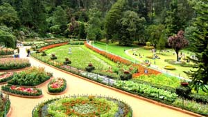 ooty botanical garden - tourist places in Ooty