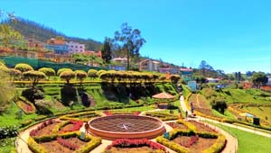 rose garden ooty - tourist places in mysore to Ooty