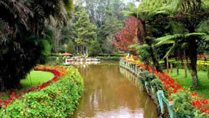 sim's park coonoor  - tourist places in Ooty